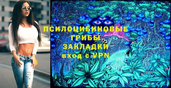 индика Балахна