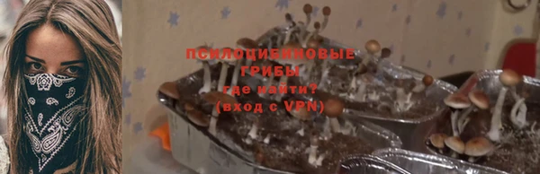 ECSTASY Балабаново