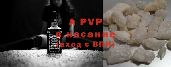 индика Балахна