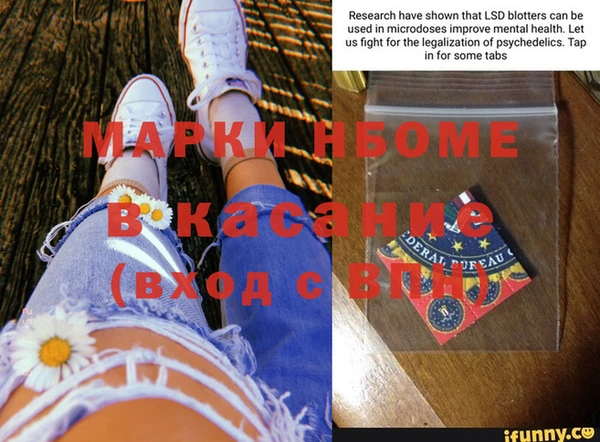 индика Балахна