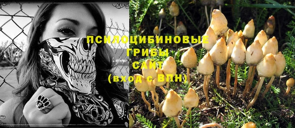 индика Балахна