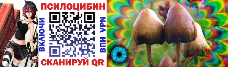 наркота  Дыгулыбгей  omg ССЫЛКА  Псилоцибиновые грибы Cubensis 